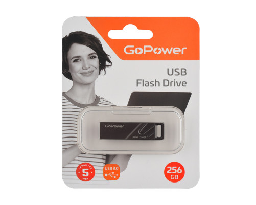 Накопитель USB Flash Drive GoPower 256GB TITAN