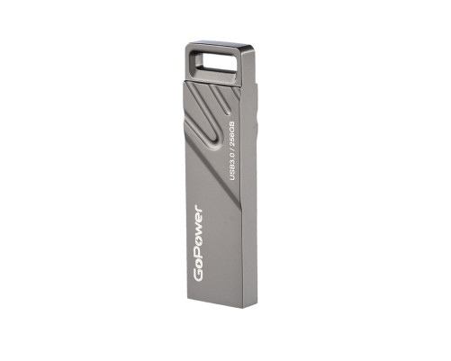 Накопитель USB Flash Drive GoPower 256GB TITAN