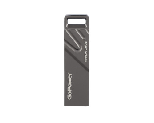 Накопитель USB Flash Drive GoPower 256GB TITAN