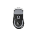 Мышь беспроводная игровая Logitech G PRO Х Superlight 2 DEX, белый
