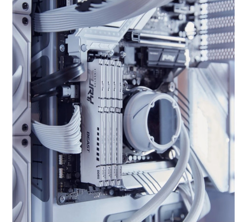 Модуль оперативной памяти Kingston 32GB FURY Beast White EXPO 5600Mhz DDR5 CL36 DIMM
