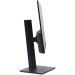 Монитор 23.8" Raskat I24F10DAP 23.8" (IPS, 1920-1080, VGA+HDMI+DP, 5ms, 178°/178°, 1000:1, 100Hz, Pivot, Black)