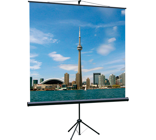 Экран на штативе Lumien Eco View, MW, 1:1, 150х150 см
