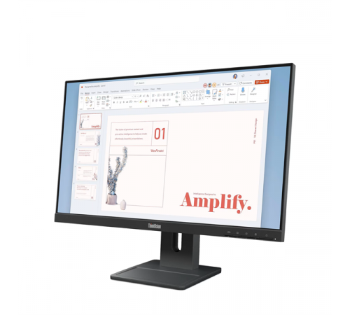 Монитор Lenovo ThinkVision E24-40 (23.8'')