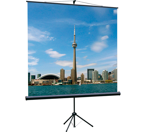 Экран на штативе Lumien Eco View, MW, 1:1, 150х150 см