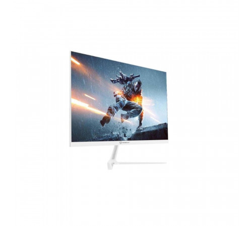 Монитор 23.8" Raskat I24F10DAW (23.8',IPS, 1920*1080, VGA+HDMI+DP, 5ms, 178°/178°, 1000:1, 100Hz, White)