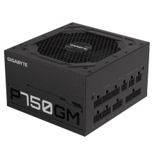 Блок питания 750 Вт Gigabyte P750GM