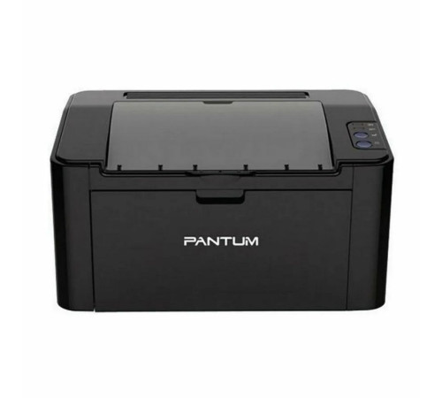 Принтер Pantum P2516