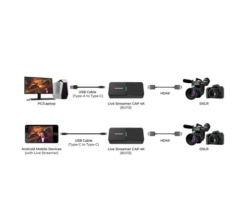Устройство видеозахвата внешнее AVER Media BU113