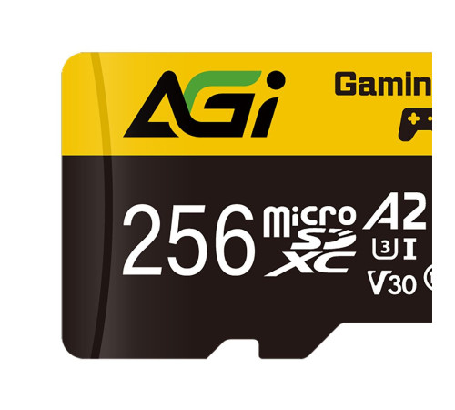 Карта памяти microSDXC 256GB AGI AGI256GGSTF138 UHS-I Class 10 /V30/A2, с адаптером