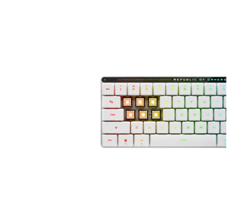 Клавиатура беспроводная игровая ASUS M603 FALCHION RX LP/RLRD/RU (RUS), белый