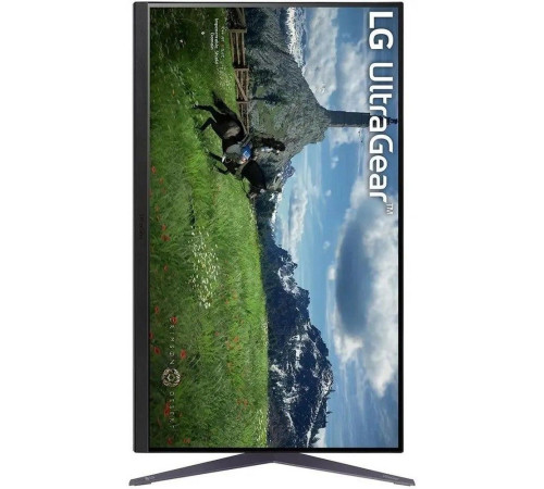 Монитор LG 32GS85Q-B (31.5")