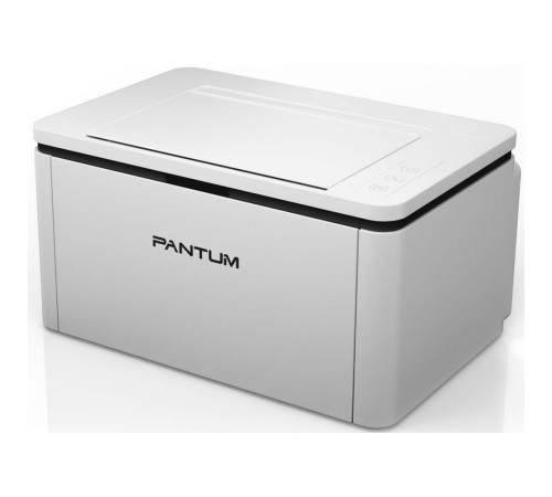 Принтер Pantum BP2300W