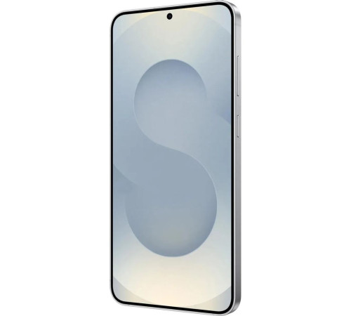 Смартфон Samsung Galaxy S25+ SM-S936B 12+512GB, серый (SM-S936BZSСCAU)
