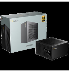 Блок питания 750 Вт Ocypus Iota P750