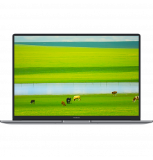 Ноутбук HONOR MagicBook X14 Plus Intel Core 5 220H/16Gb (soldered D4)/SSD1Tb/UMA/14