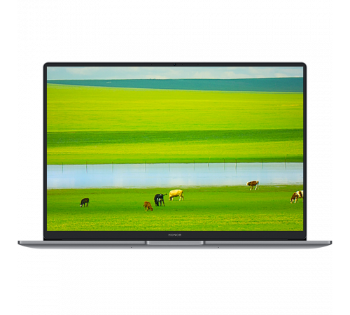 Ноутбук HONOR MagicBook X14 Plus Intel Core 5 220H/16Gb (soldered D4)/SSD1Tb/UMA/14"/IPS/2.8K/2880x1800/120Hz/Win11/Grey/1.34kg