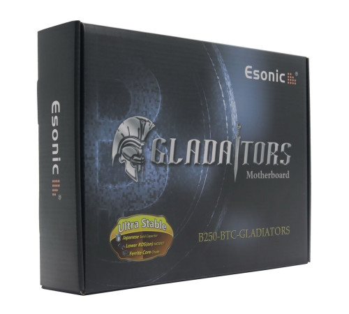 Материнская плата Esonic B250-BTC-Gladiator (LGA1151)
