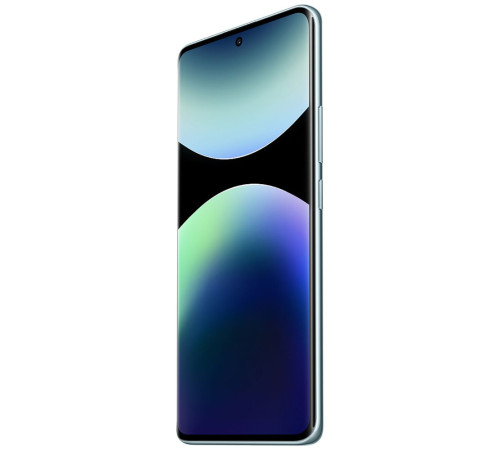 Смартфон Xiaomi Redmi Note 14 Pro+ 5G 12+256GB, синий (MZB0IIZRU)