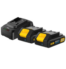 Набор аккумулятор и зарядное устройство Deli DL-CM20A2E (2АКБ 20V 2А*ч + ЗУ 2A, 20V)