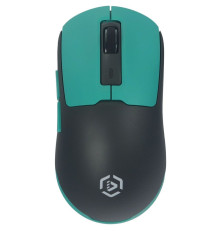 Мышь беспроводная Raskat MG027TR, черный/зеленый
