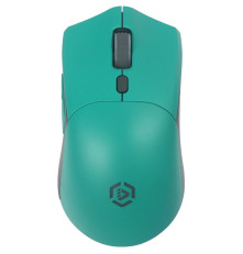 Мышь беспроводная Raskat MG009WR, зеленый