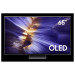 Телевизор OLED 65" SAMSUNG QE65S90FAEXRU