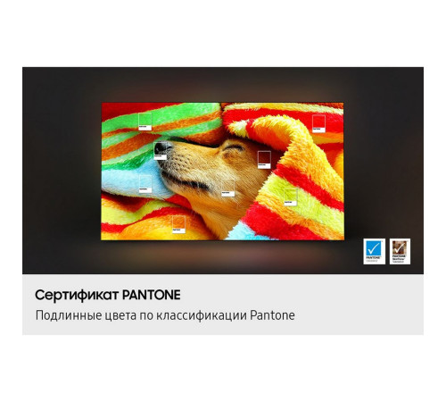 Телевизор OLED 65" SAMSUNG QE65S85FAEXRU