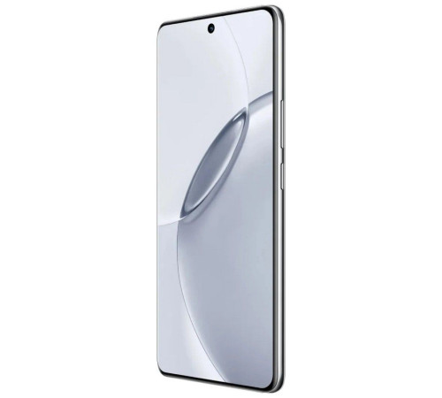 Смартфон Realme RMX5131 16 Pro+ 8 + 256GB, серый