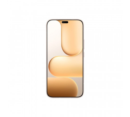 Смартфон HONOR 600 Lite 8+256Gb золотой (5109CEJS)