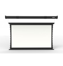 Экран потолочный Digis Altitude DSTA-16915