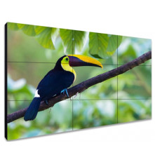 ЖК-панель для видеостен Exell EXPD-WA55AB35 55"