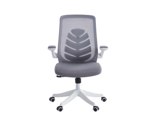 Кресло офисное Chairman CH565, белый/серый Кресло офисное Chairman CH565, белый/серый
