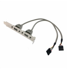 Кабель Advantech 1700100170-ME (1700100170-S) 2*5P-2.54/USB-A(F)*2 0.175 м 