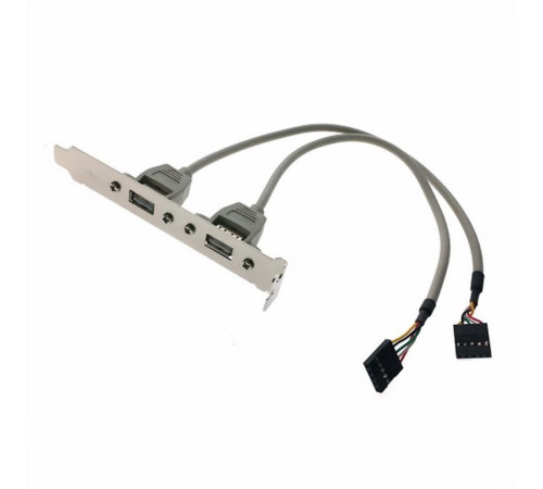 Кабель Advantech 1700100170-ME (1700100170-S) 2*5P-2.54/USB-A(F)*2 0.175 м