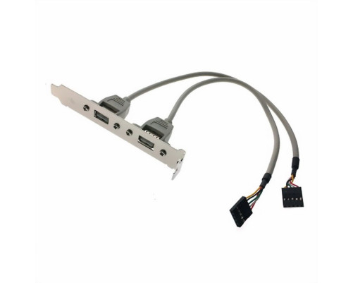 Кабель Advantech 1700100170-ME (1700100170-S) 2*5P-2.54/USB-A(F)*2 0.175 м Кабель Advantech 1700100170-ME (1700100170-S) 2*5P-2.54/USB-A(F)*2 0.175 м