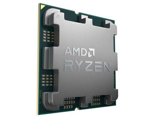 Процессор AMD RYZEN 9 9950X3D (AM5)  OEM