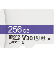 Карта памяти microSDXC 256GB Dahua C100 Class 10 UHS-I U3/V30