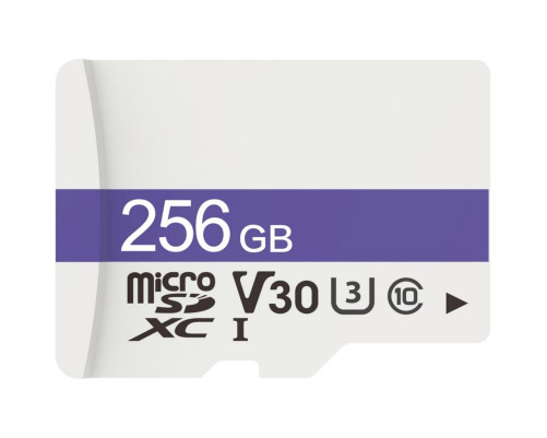 Карта памяти microSDXC 256GB Dahua C100 Class 10 UHS-I U3/V30