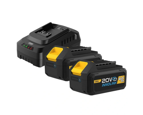 Набор аккумулятор и зарядное устройство Deli DL-CM20A4E (2АКБ 20V 4А*ч + ЗУ 2A, 20V)