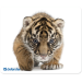 Коврик для мыши Defender Silk 230x190x1.6 мм, 10 видов