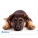 Коврик для мыши Defender Silk 230x190x1.6 мм, 10 видов
