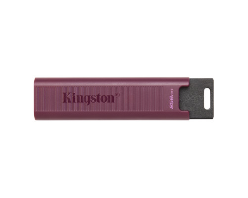 Накопитель USB Flash Drive Kingston 256GB DataTraveler Max, черный Накопитель USB Flash Drive Kingston 256GB DataTraveler Max, черный