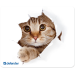 Коврик для мыши Defender Silk 230x190x1.6 мм, 10 видов