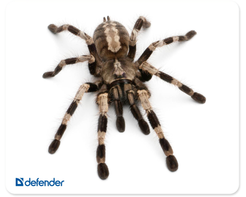 Коврик для мыши Defender Silk 230x190x1.6 мм, 10 видов