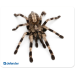 Коврик для мыши Defender Silk 230x190x1.6 мм, 10 видов