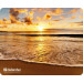 Коврик для мыши Defender Silk Pad Nature 230x190x1.6 мм, 10 видов