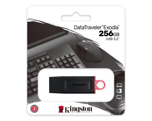 Накопитель USB Flash Drive Kingston 256GB DataTraveler Exodia, черный/розовый Накопитель USB Flash Drive Kingston 256GB DataTraveler Exodia, черный/розовый
