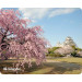 Коврик для мыши Defender Silk Pad Nature 230x190x1.6 мм, 10 видов