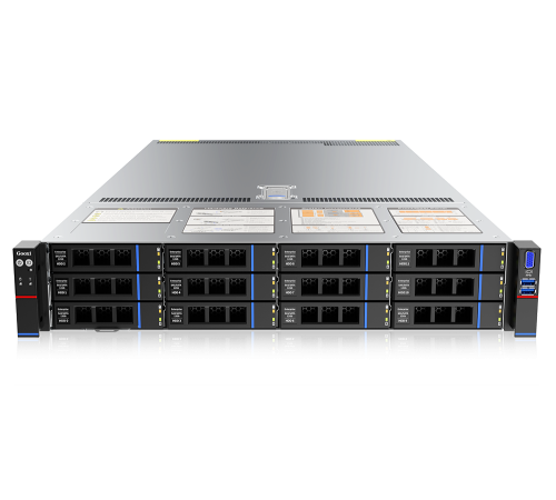 Серверная платформа Gooxi SL201-D12R-NV-G4